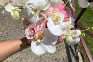 Flores Leymar - 7