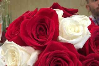 Decano Floristas - 13