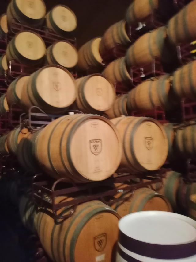 Bodegas Bocopa - 2