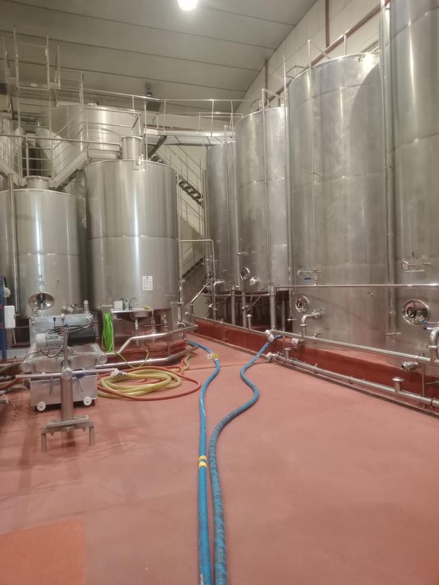 Bodegas Bocopa - 3