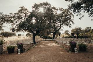 Jardines de Morante - 8