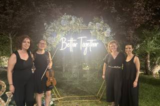 Amati - 5