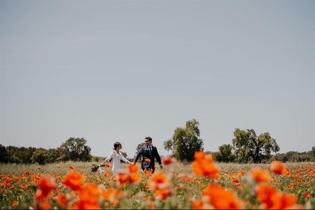 Yes Day Wedding - 1