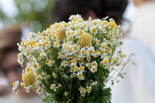 David Burgos Fotografía - 7