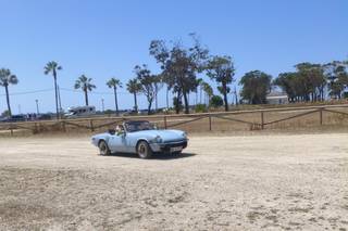 Coches para Bodas - 5
