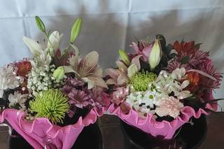 Alonso Floristas - 10