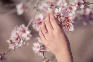 Miguel del Prado - 8