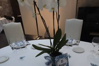 Wish Me Events - 8
