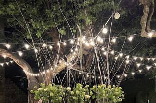 Floristería Picris - 7