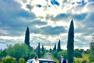 Ponunporscheentuboda - 11