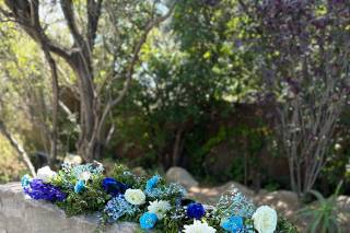 Flors i Plantes Silvia - 7