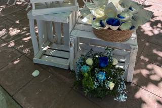 Flors i Plantes Silvia - 8