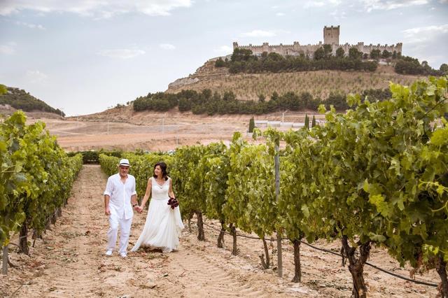 Bodegas Marcos - 2