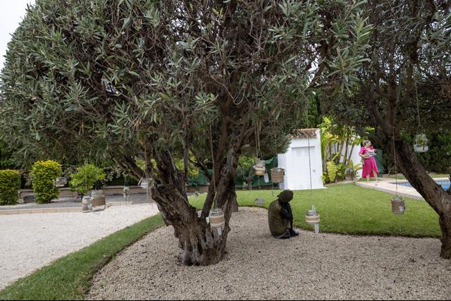 Finca Montahud - 3