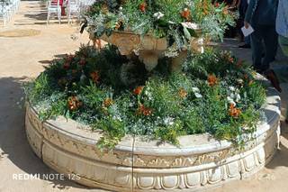 El Romeral - 7