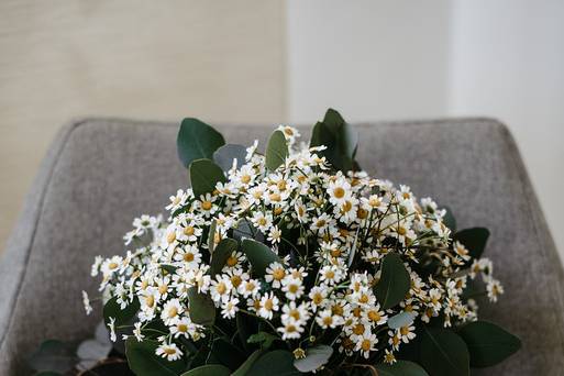 Anais Floristas 5