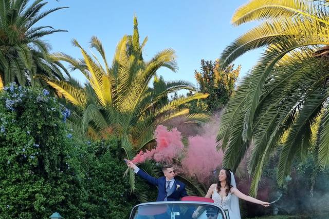 Amor Loco Wedding Planner 5