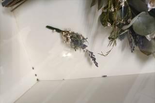 Creaciones Josefi - 6