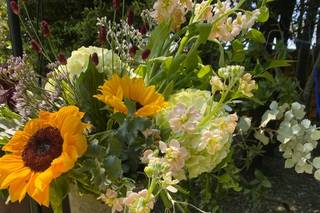 Finca La Sierra - 20