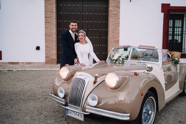 Royal Wedding 3