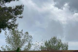 La Flamenka Events - Maestra de Ceremonias - 11