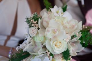 Floristería Crisálida - 9