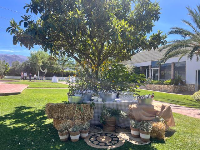 Natalio Yanguas Catering - 4