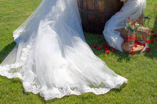 Ada Art & Excellence Films - 6