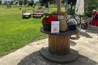 Finca El Gorronal - 7