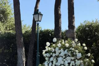 Flors i Plantes Silvia - 6