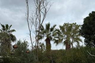 Wateke Producciones - 8