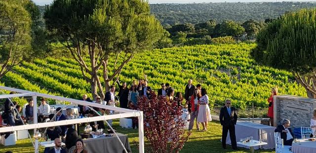 Amanece Events - 3