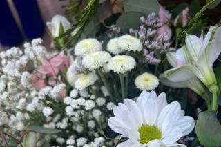 Floristeria Alpajes - 10