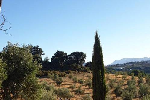 Cortijo LA Organic 3