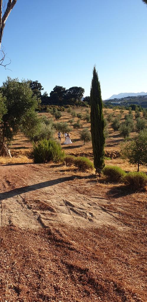 Cortijo Almazara El Toro - 2