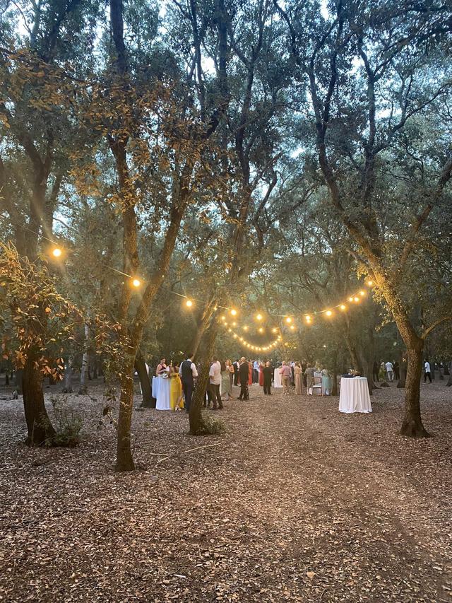 Music&Light Events - 3