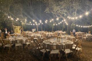 Music&Light Events - 6