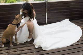 Guinardogs - 5