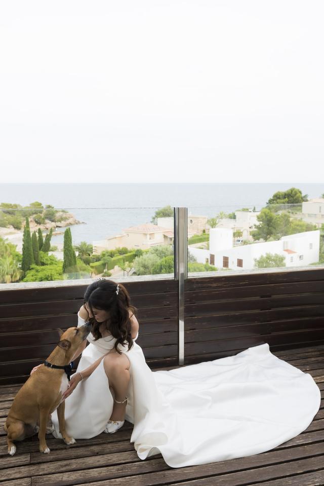 Guinardogs - 1
