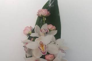 Flor de Lyc - 24