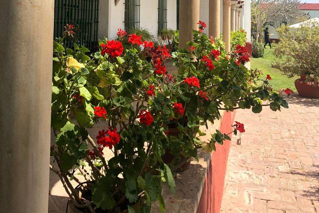 Hacienda Torrequemada 2