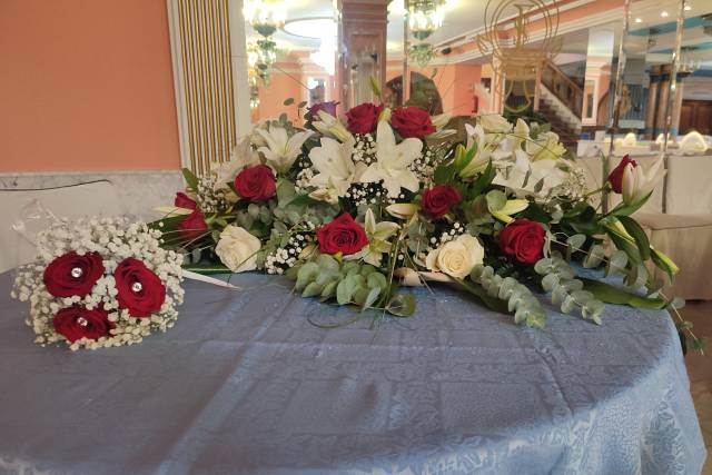 Flores Zinnia 1