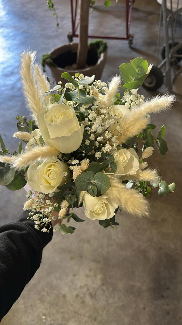 Flors i Plantes Silvia - 4
