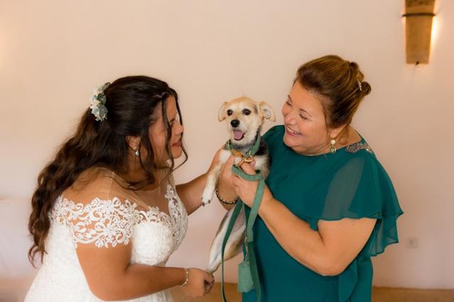 Nuestras Novias - 1
