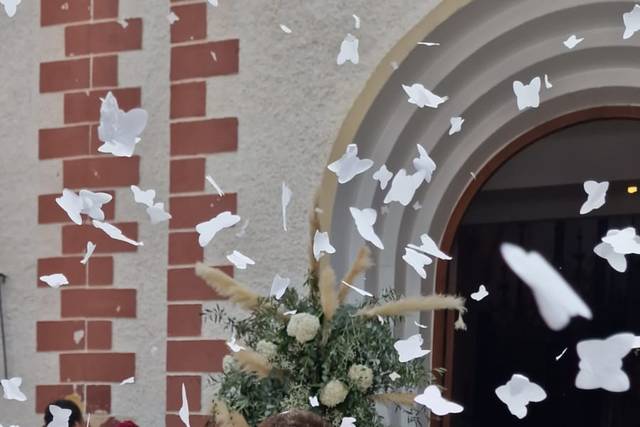 Fanny Bodas 1