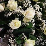 Corine