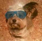 Concha