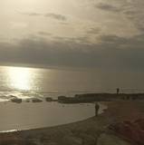 Anamar