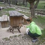 Tania