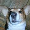 Lola